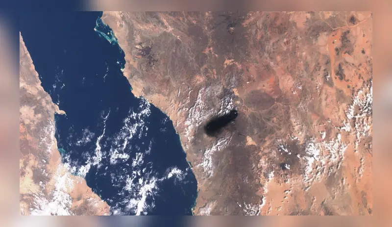 After Hormuz, another shipping route at risk? Houthis seize key Red Sea port After Hormuz, another shipping route at risk? Houthis seize key Red Sea port