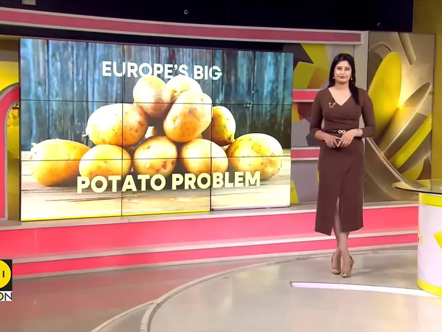 Potato prices surge as drought hits crop in Europe 
