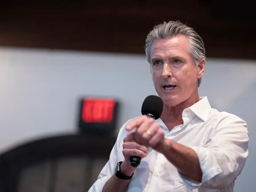 'Washington needs to do its job': Newsom backs ‘kill switch’ for advanced AI models as California steps up safety push