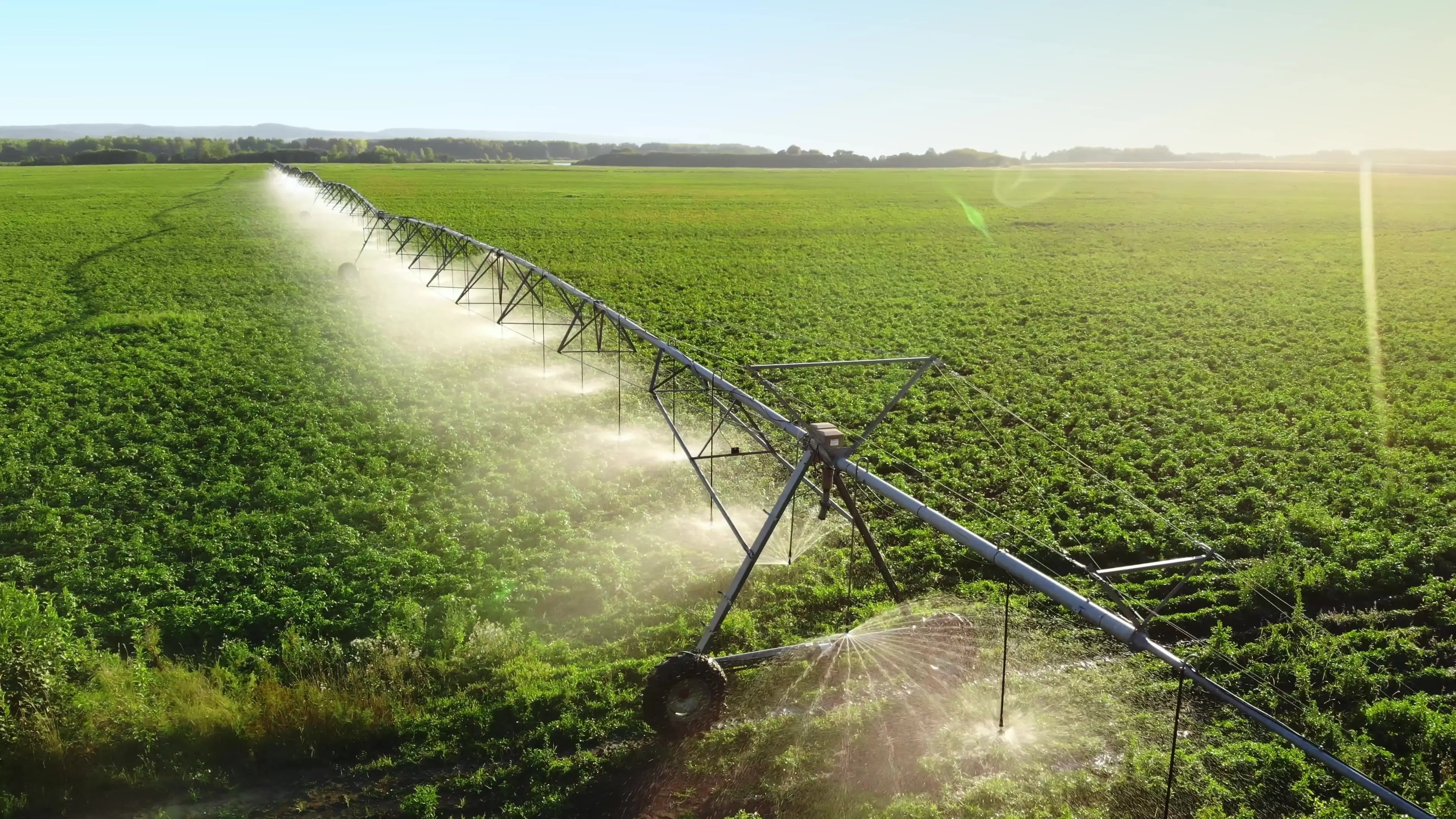 ‘Not the US or China’: These are the countries leading the world in arable land