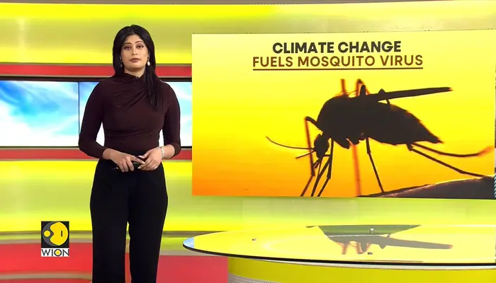 Climate change fuels global rise in Mosquito populations 
