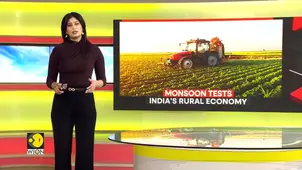 Indian monsoon: Weakest rainfall in 17 years could cut rice output by 10 million tonnes