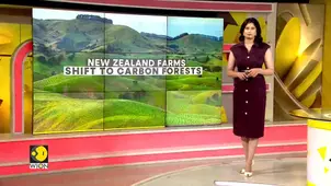 New Zealand farms shift to carbon forests: Carbon credits fuel a land rush reshaping rural life 