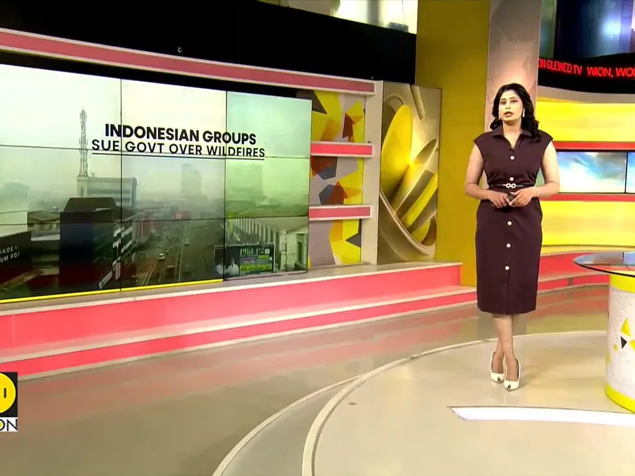 Indonesian groups sue govt over wildfires as haze crosses borders, nearly 900,000 hectares burned 