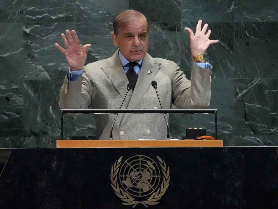 'What kind of confession is this?': Pakistan PM Shehbaz Sharif’s 'terrorists would be roaming New York' remark goes viral, raises alarm online. Watch