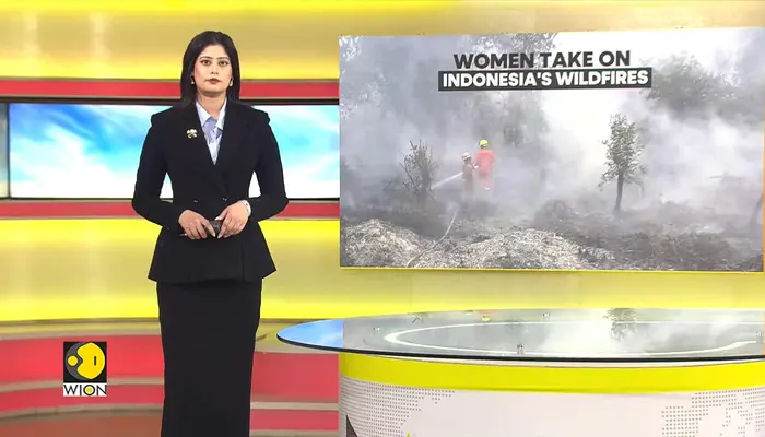 WionNews Video