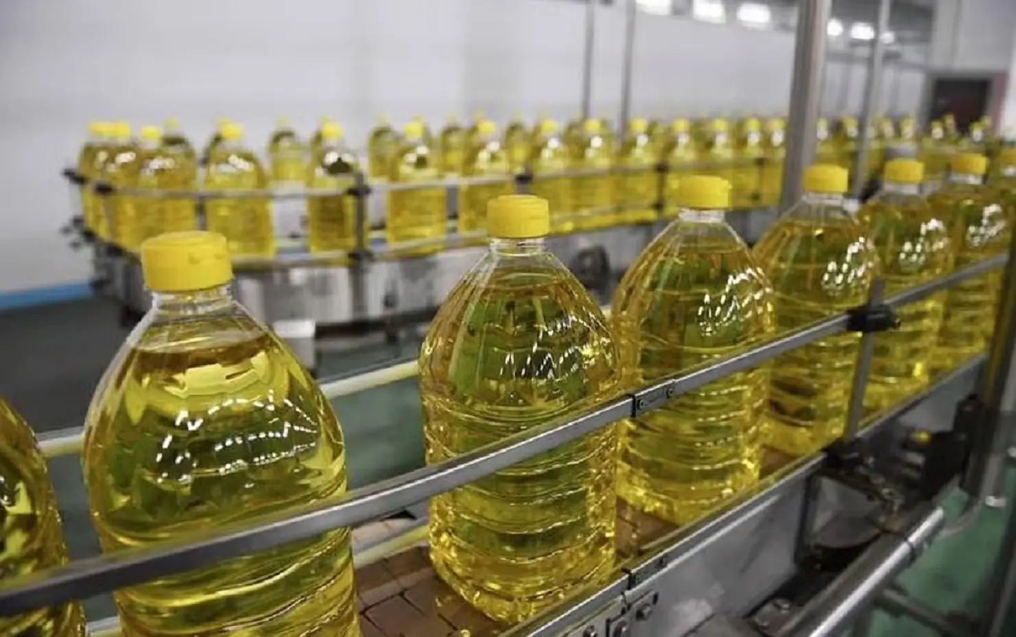 Govt slashes duty on edible oils to curb price rise ahead of festive season