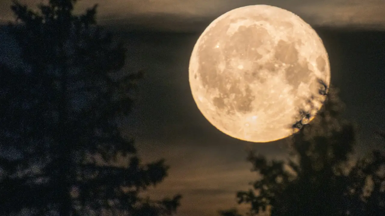 Harvest Moon: September's full moon peaks this weekend. India time, moonrise and more