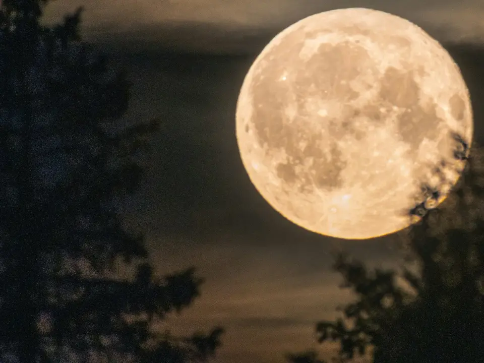 Harvest Moon: September's full moon peaks this weekend. India time, moonrise and more Harvest Moon: September's full moon peaks this weekend. India time, moonrise and more