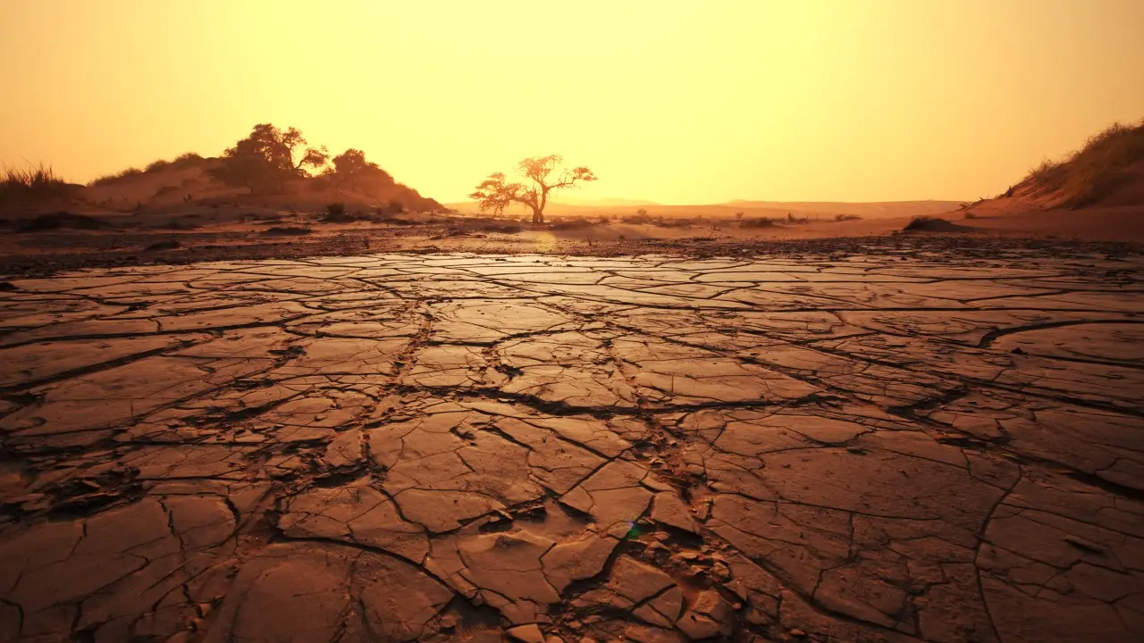 Maharashtra declares drought in 265 of 358 tehsils, covering three-fourths of state