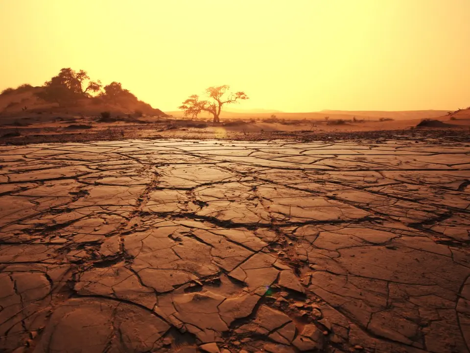Maharashtra declares drought in 265 of 358 tehsils, covering three-fourths of state Maharashtra declares drought in 265 of 358 tehsils, covering three-fourths of state