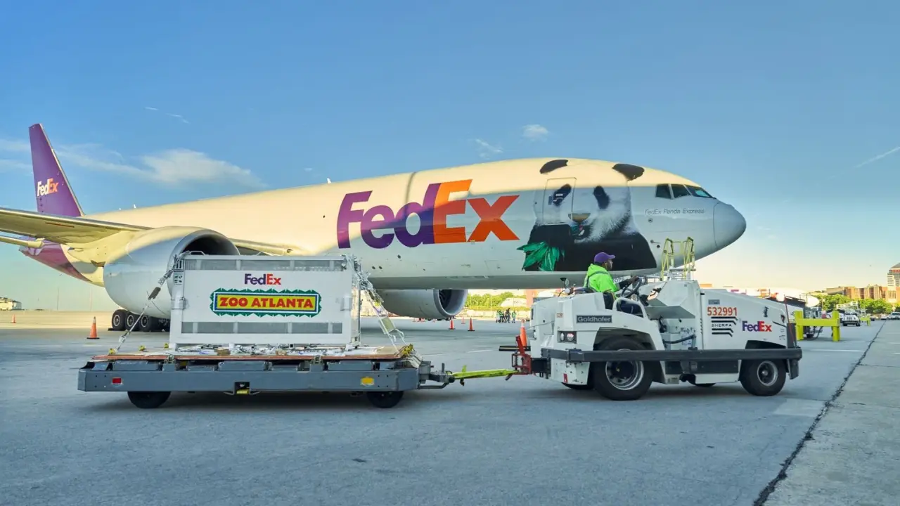 Giant delivery from China: Atlanta zoo welcomes two pandas from Chengdu