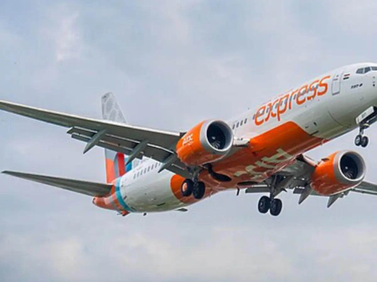 Softwarefehler bei der Boeing 737 MAX: Könnten 96 indische Flugzeuge ...
