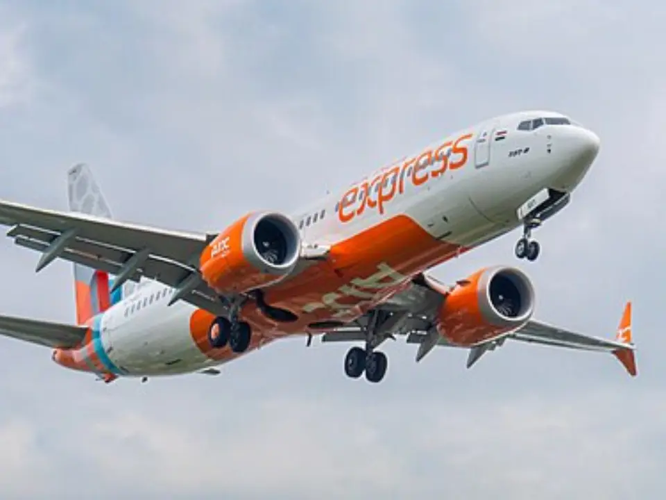 Boeing 737 MAX software glitch: Could 96 Indian planes be affected? What we know Boeing 737 MAX software glitch: Could 96 Indian planes be affected? What we know