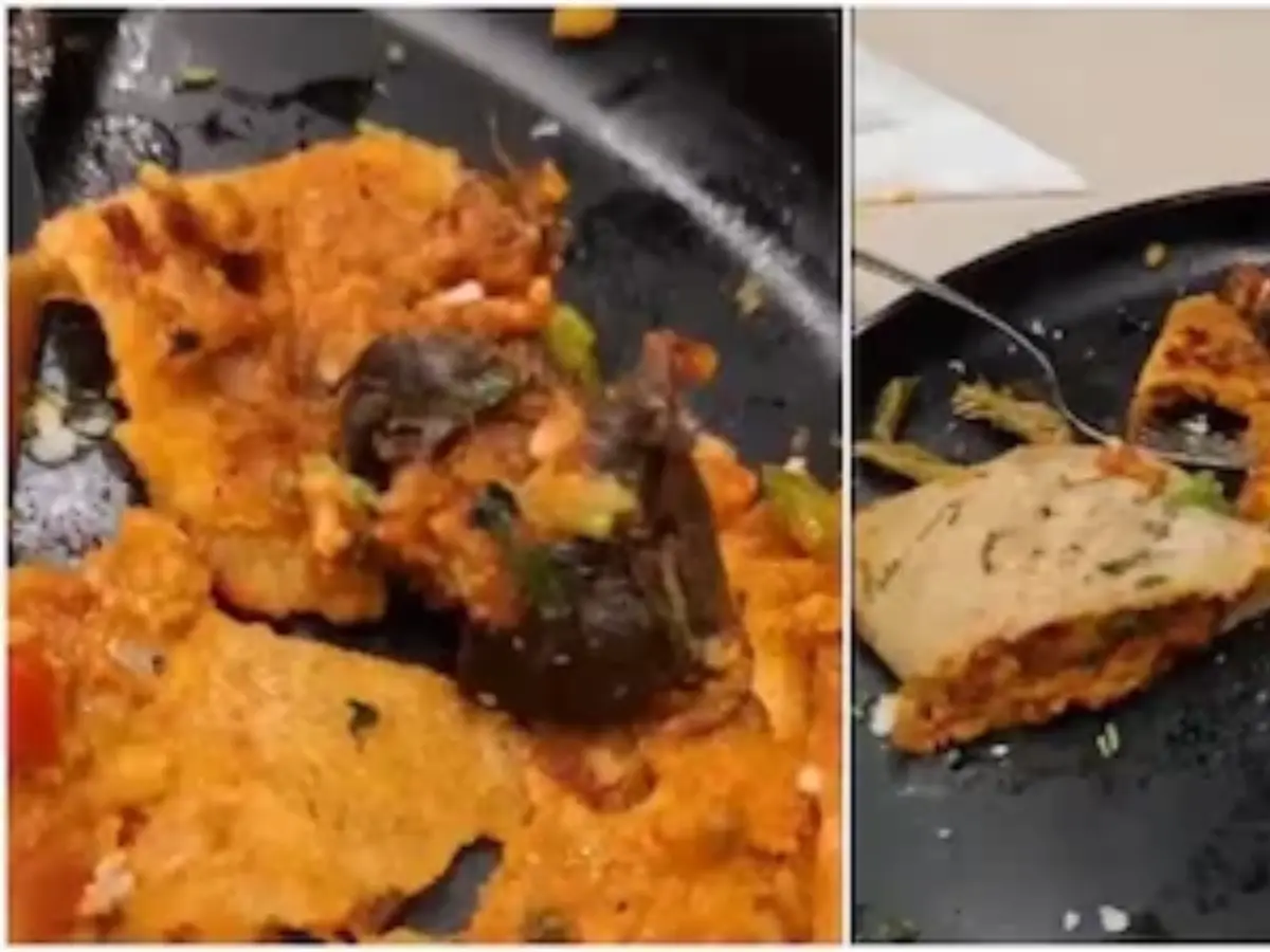 Mumbai restaurant licence suspended after diner allegedly finds rat in dosa Mumbai restaurant licence suspended after diner allegedly finds rat in dosa