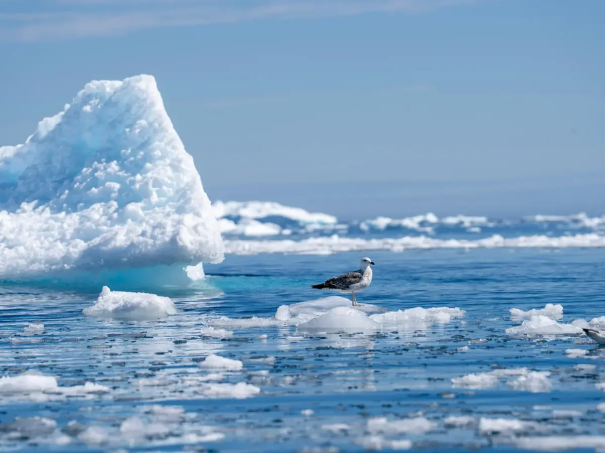 Oceans warming twice as fast, Copernicus report warns