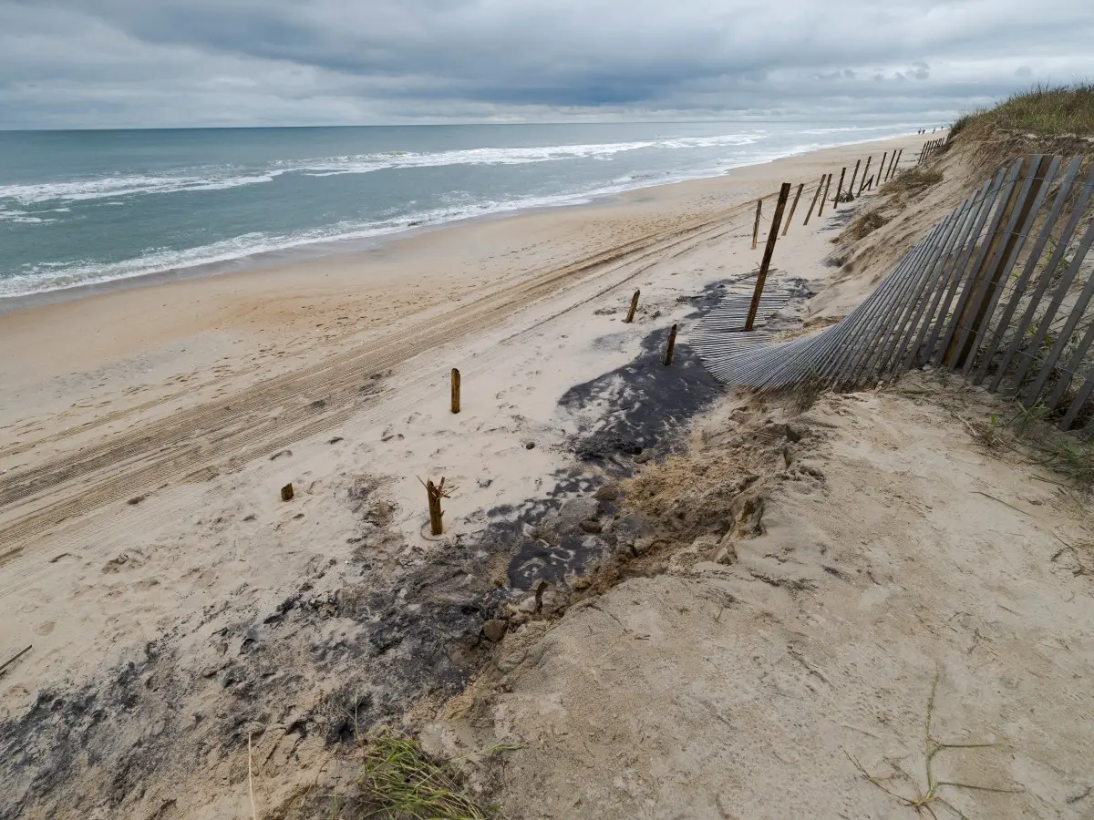 Heatwaves, Wildfires Drive Global Ozone Spike | GRAVITAS