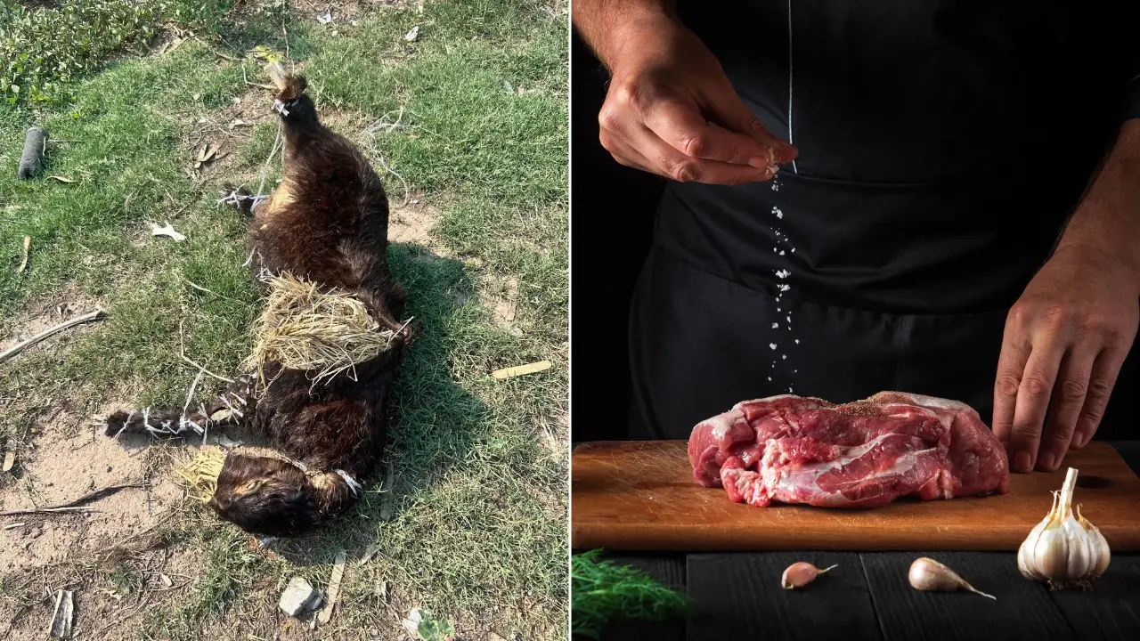 From farm to fork: The hidden lives of animals behind India’s food | World Farm Animals Day 2026