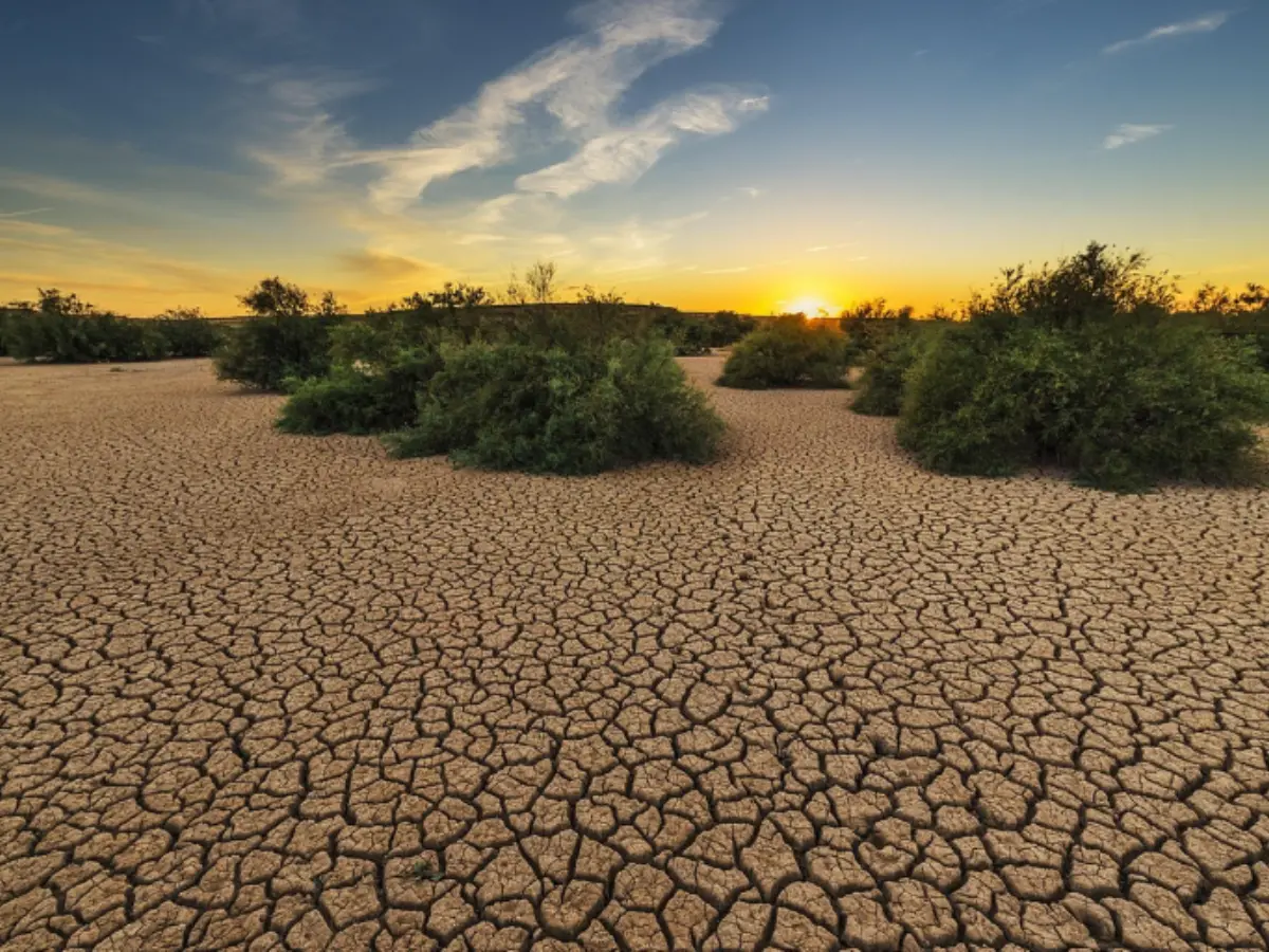 Maharashtra drought: Why a weak monsoon is raising fears of a water crisis Maharashtra drought: Why a weak monsoon is raising fears of a water crisis