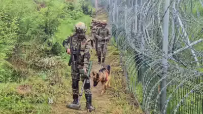 Terror networks under pressure: Security forces record major gains in J&K in 2026