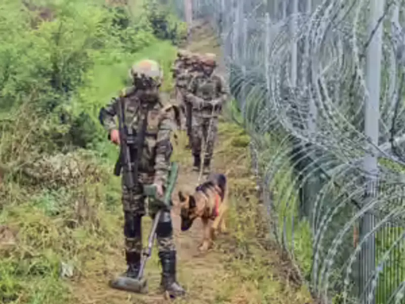 Terror networks under pressure: Security forces record major gains in J&K in 2026 Terror networks under pressure: Security forces record major gains in J&K in 2026