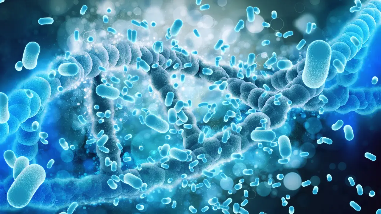 Why gut bacteria may matter more than we think? Experts explain
