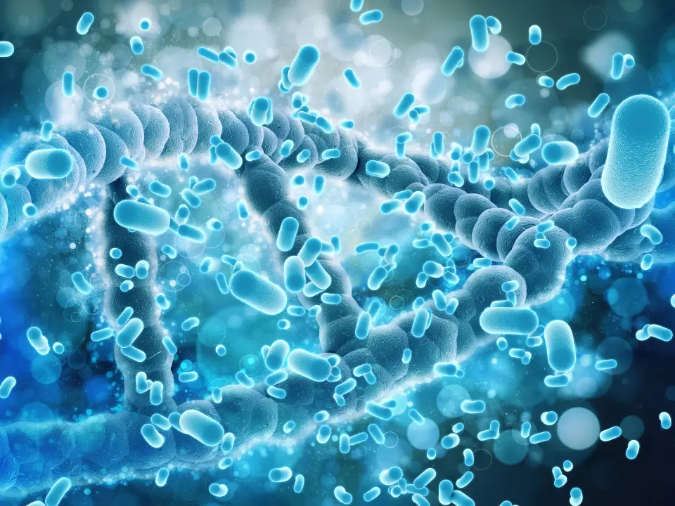 Why gut bacteria may matter more than we think? Experts explain Why gut bacteria may matter more than we think? Experts explain