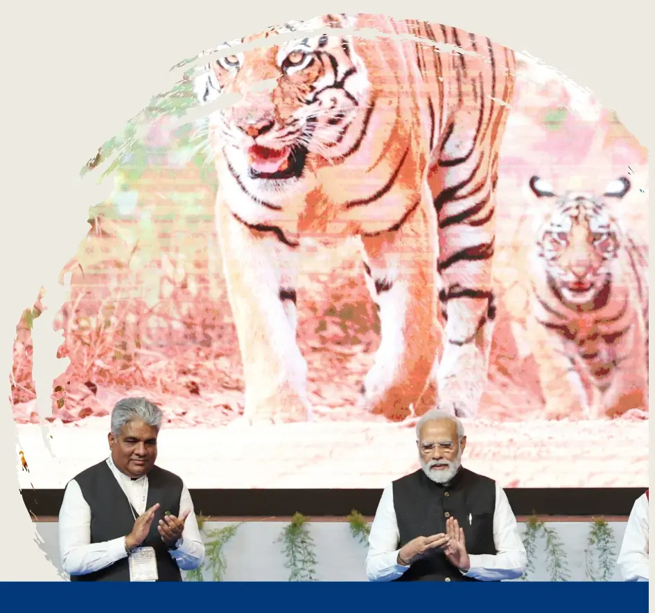 International Big Cat Alliance — 2023