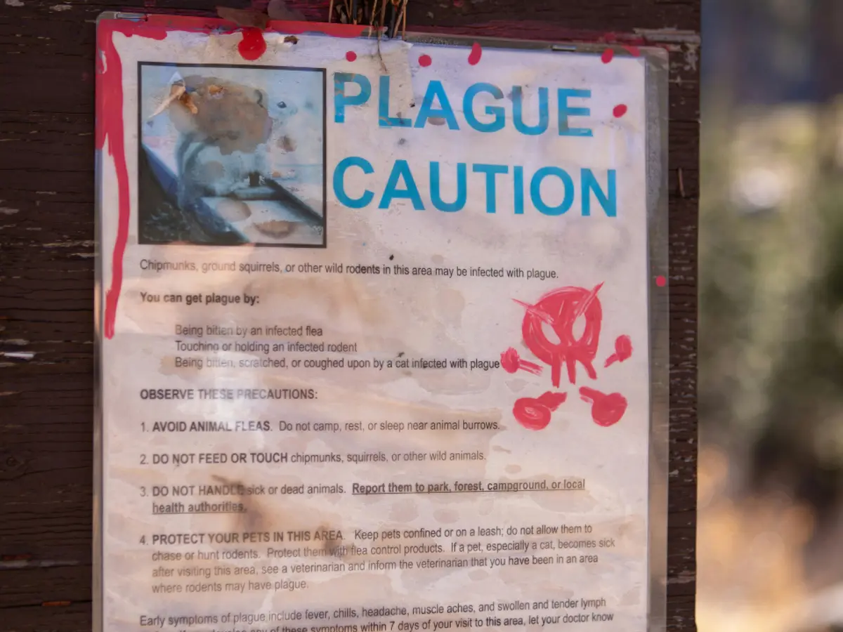 Russia Plague Reports Claim Second Person Has Died