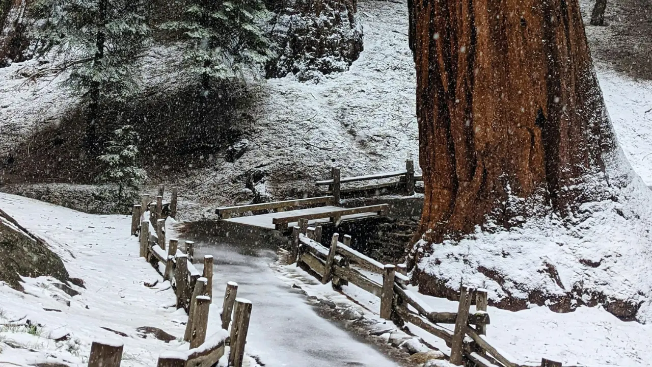 'Warning lights are flashing': Expert says El Niño has him 'officially concerned' ahead of winter season