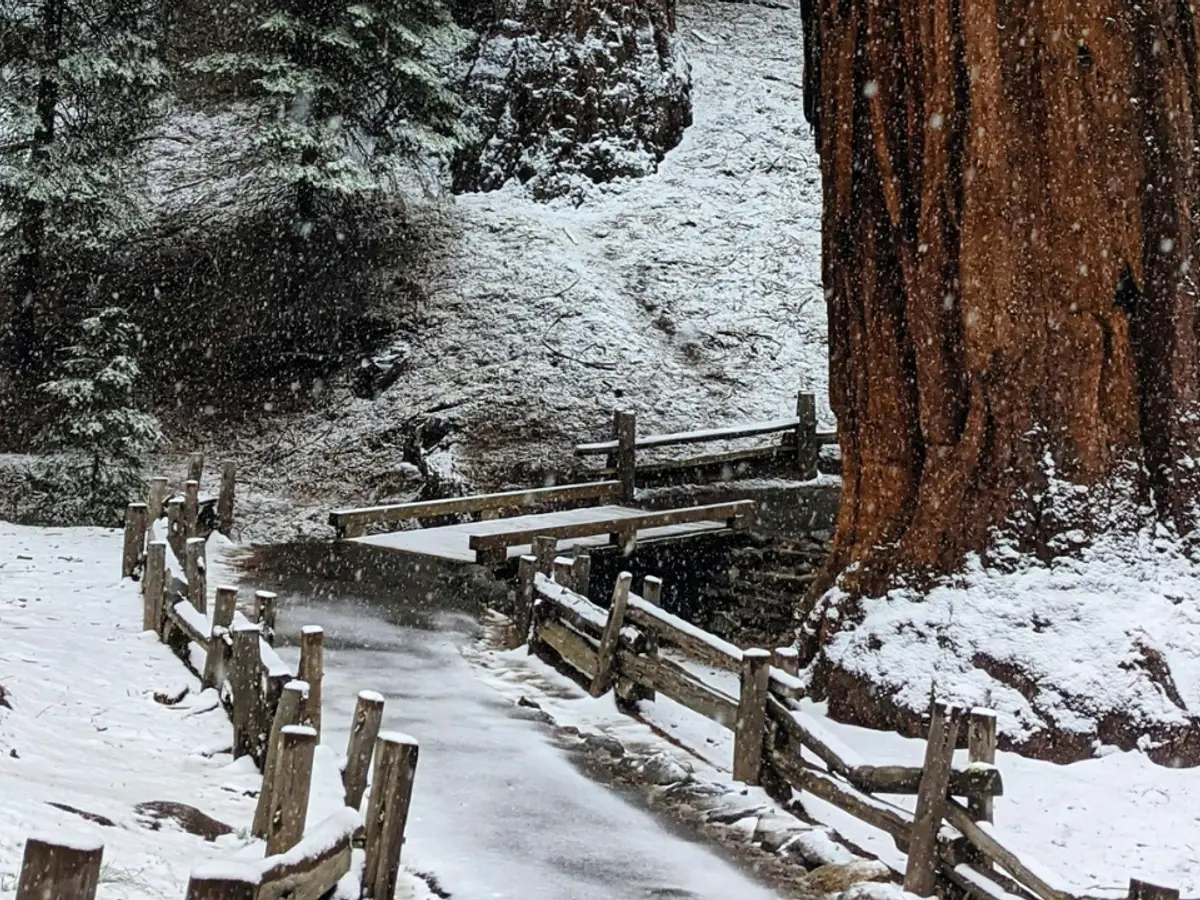 El Niño Could Break Records, Scientist Warns of Extreme Winter