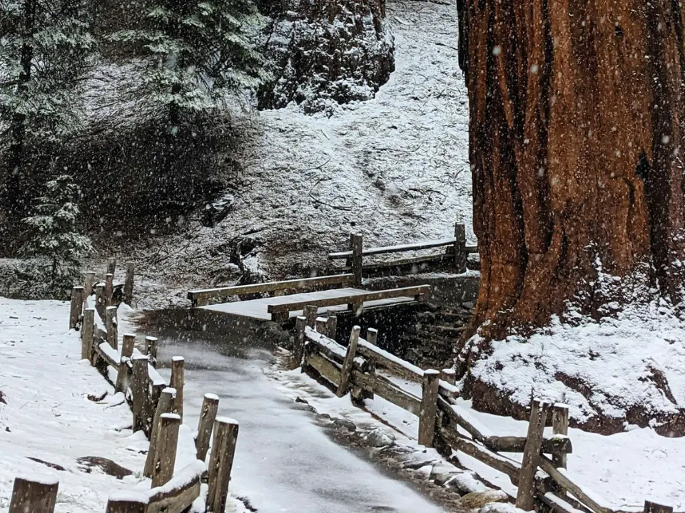 'Warning lights are flashing': Expert says El Niño has him 'officially concerned' ahead of winter season 'Warning lights are flashing': Expert says El Niño has him 'officially concerned' ahead of winter season