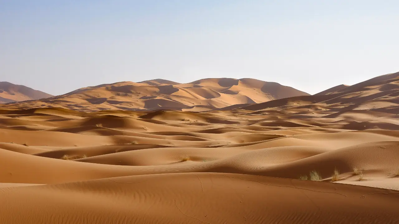 Palaeontologists find 14 shark teeth in Sahara desert from Late Cretaceous