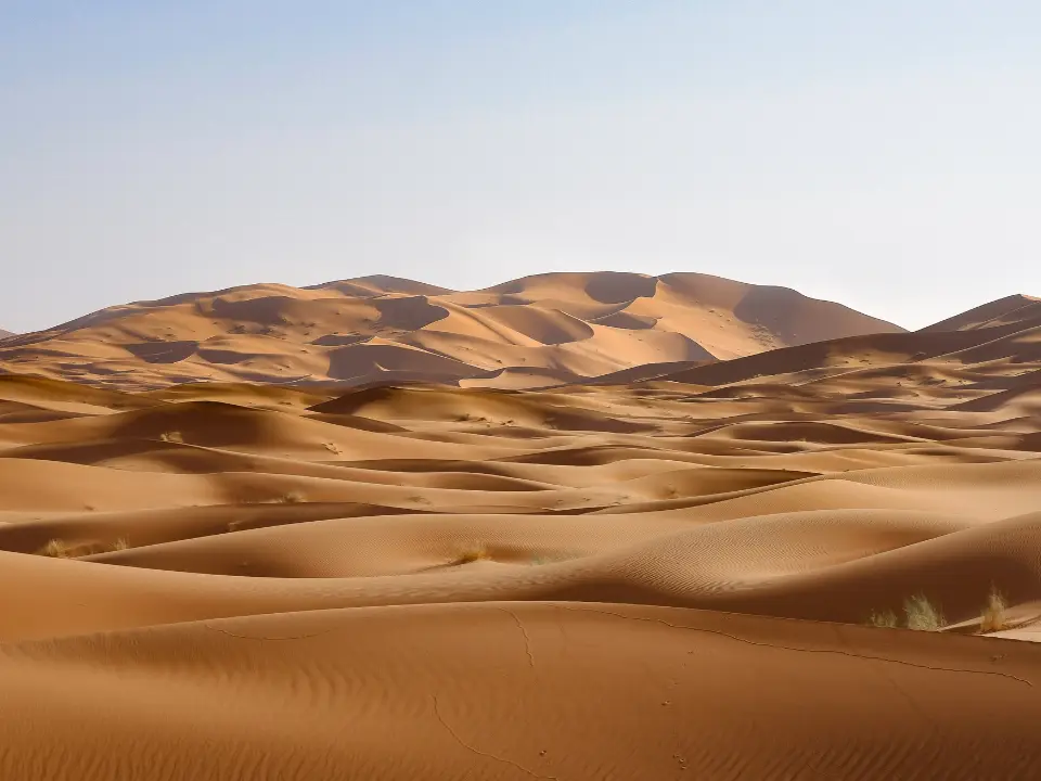 Palaeontologists find 14 shark teeth in Sahara desert from Late Cretaceous Palaeontologists find 14 shark teeth in Sahara desert from Late Cretaceous