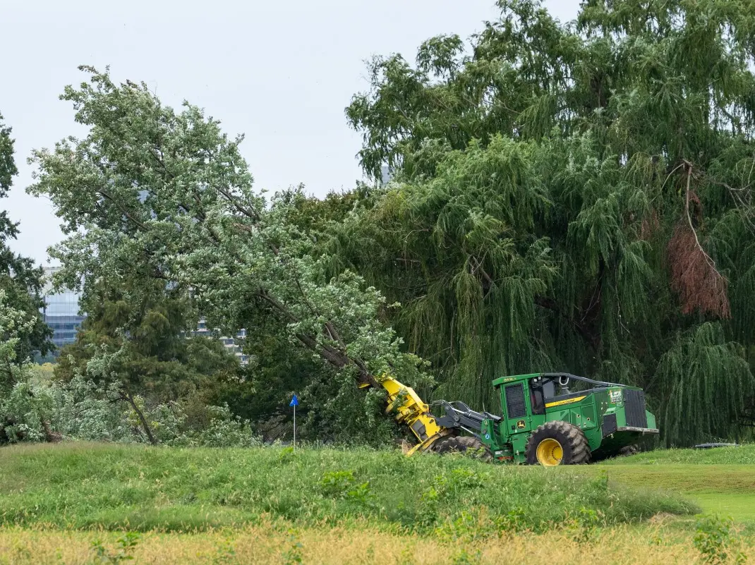 'I am thoroughly unamused': Judge slams Trump administration after 400 trees cut at Washington golf course 'I am thoroughly unamused': Judge slams Trump administration after 400 trees cut at Washington golf course