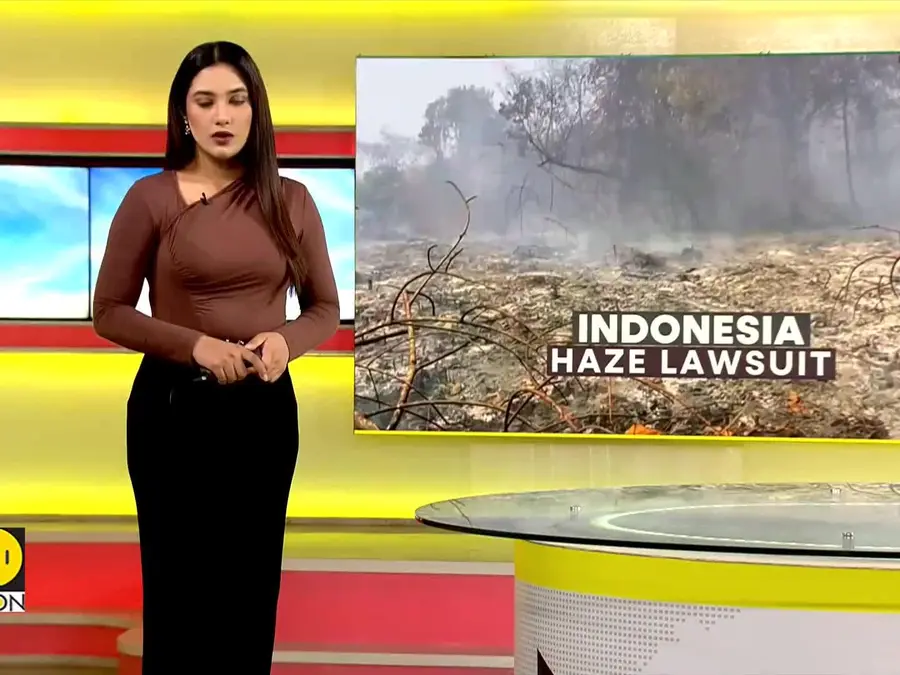 Indonesians on fire-ravaged island sue state for clean air
