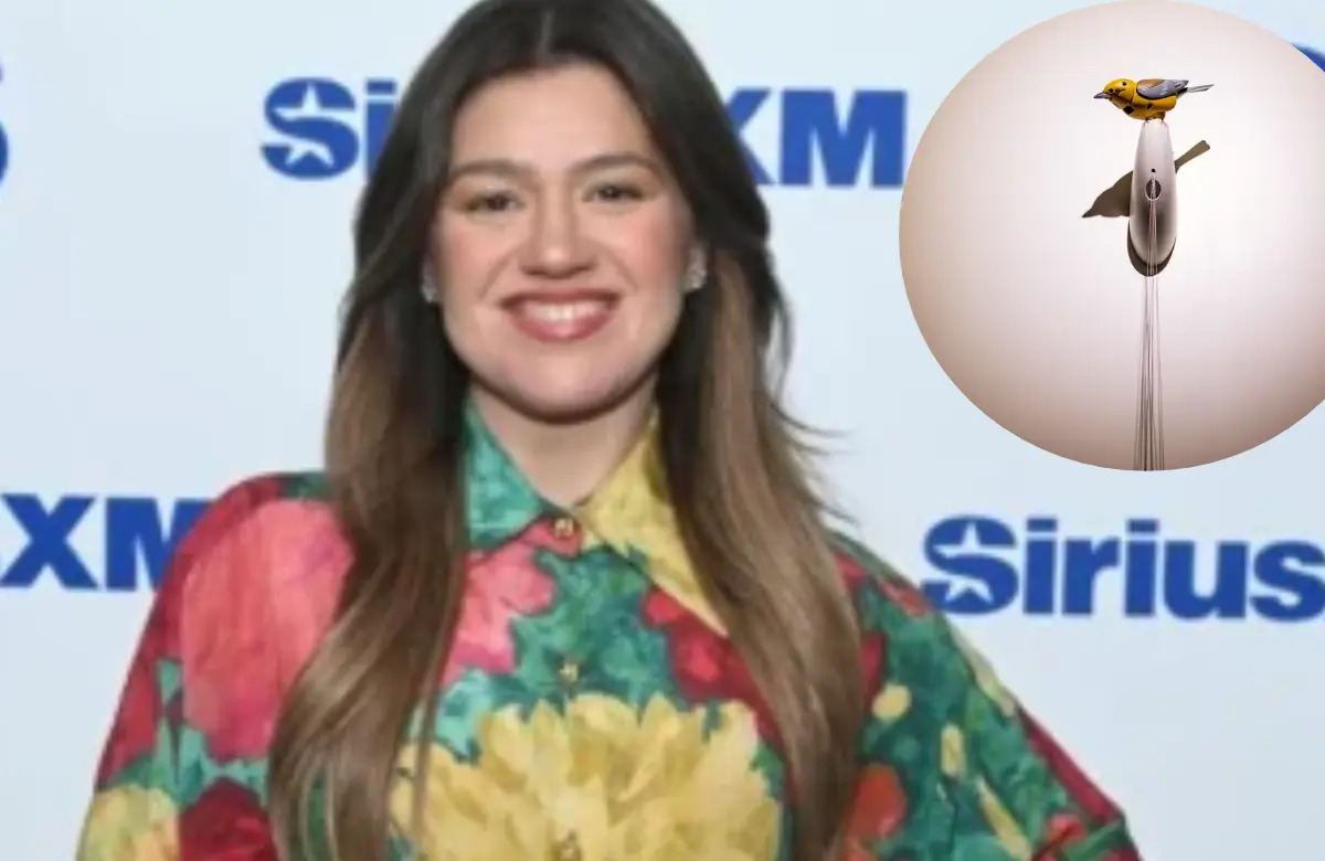 Saga of $15,000 bird! Kelly Clarkson Brooklyn store incident: CCTV reveals what really happened after singer stepped into the shop