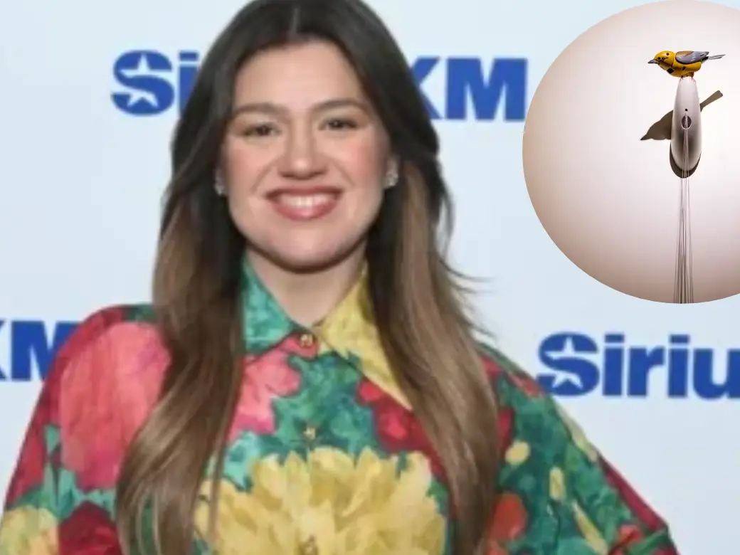 Saga of $15,000 bird! Kelly Clarkson Brooklyn store incident: CCTV reveals what really happened after singer stepped into the shop Saga of $15,000 bird! Kelly Clarkson Brooklyn store incident: CCTV reveals what really happened after singer stepped into the shop