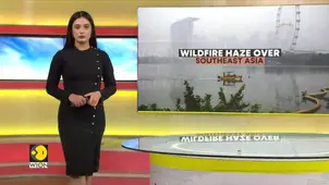 Indonesia Wildfires: Thousands deployed to fight massive wildfire 