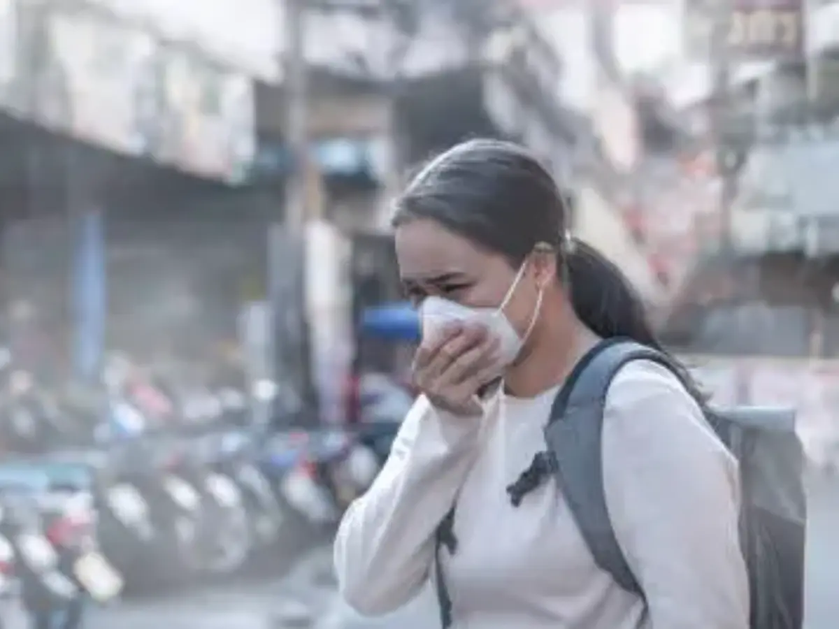 Smog-Alarm! Ärzte klären über Masken, Luftreiniger und Zimmerpflanzen vor ...