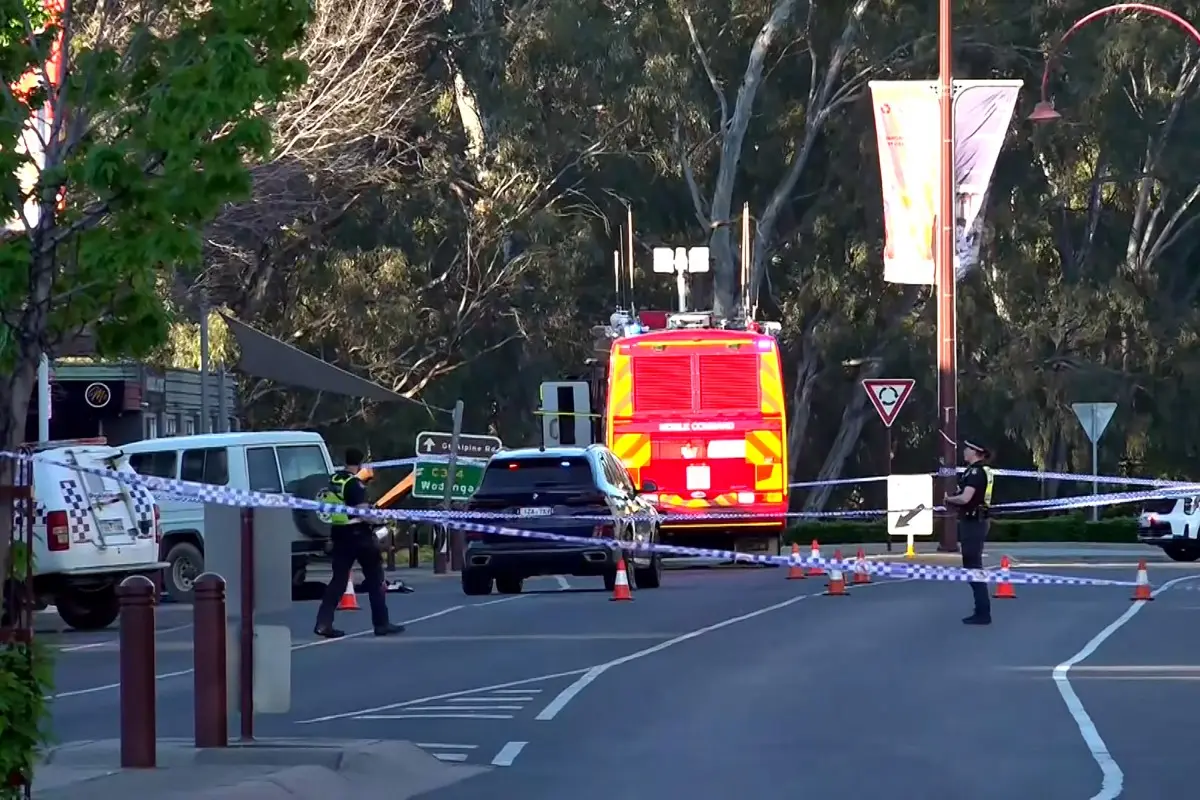 Australian MP Helen Haines in critical condition after being hit by SUV