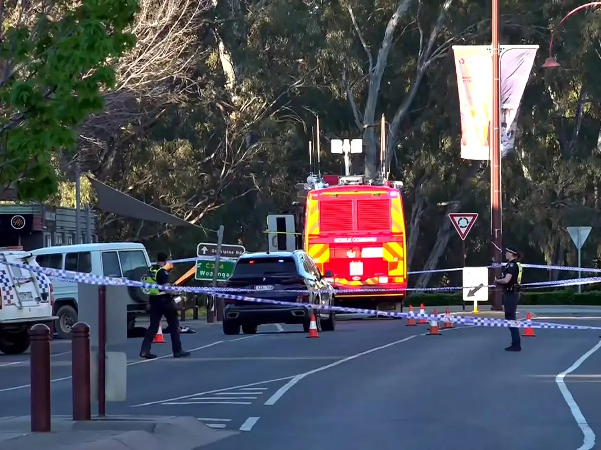 Australian MP Helen Haines in critical condition after being hit by SUV
