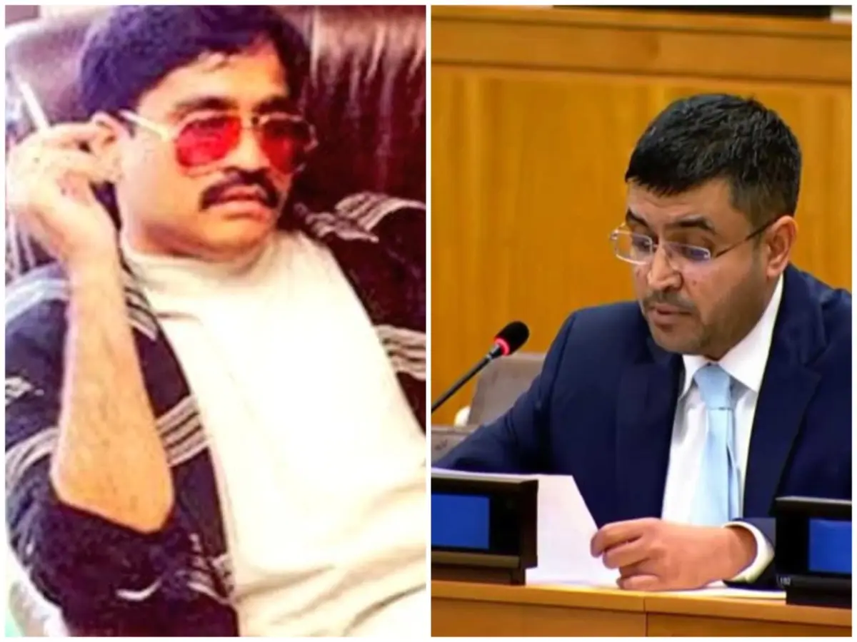 'Stays in Pakistan like Laden': India slams UN report for calling Dawood's D-Company 'India-based' 'Stays in Pakistan like Laden': India slams UN report for calling Dawood's D-Company 'India-based'