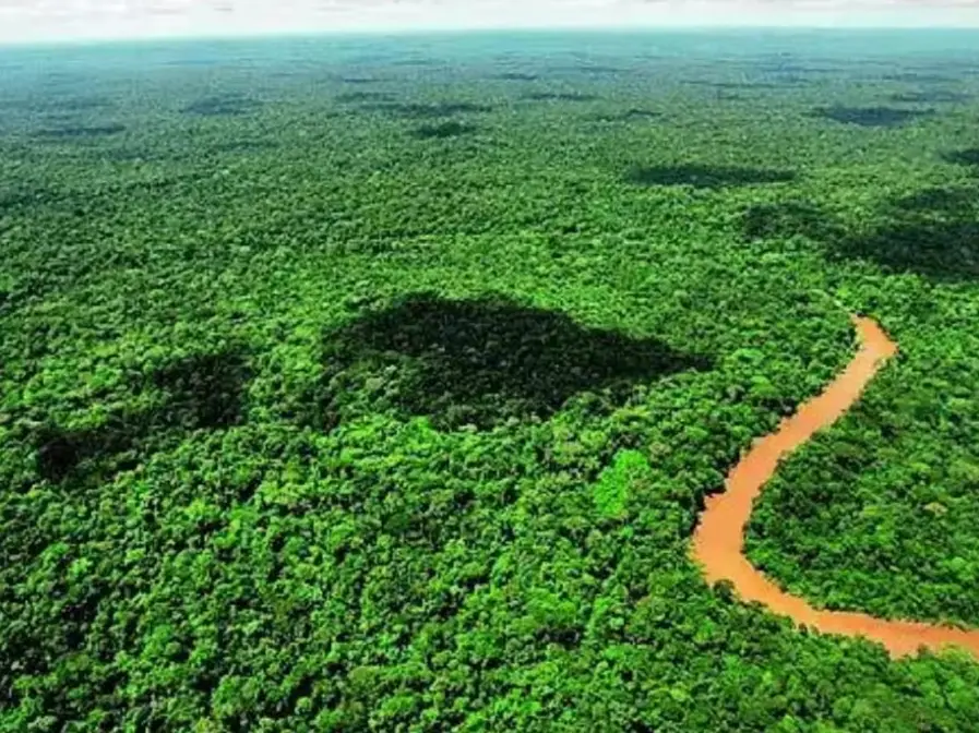 India lost a slice of green the size of its summer comfort: Study links 25 years of vanishing vegetation to hotter summers India lost a slice of green the size of its summer comfort: Study links 25 years of vanishing vegetation to hotter summers