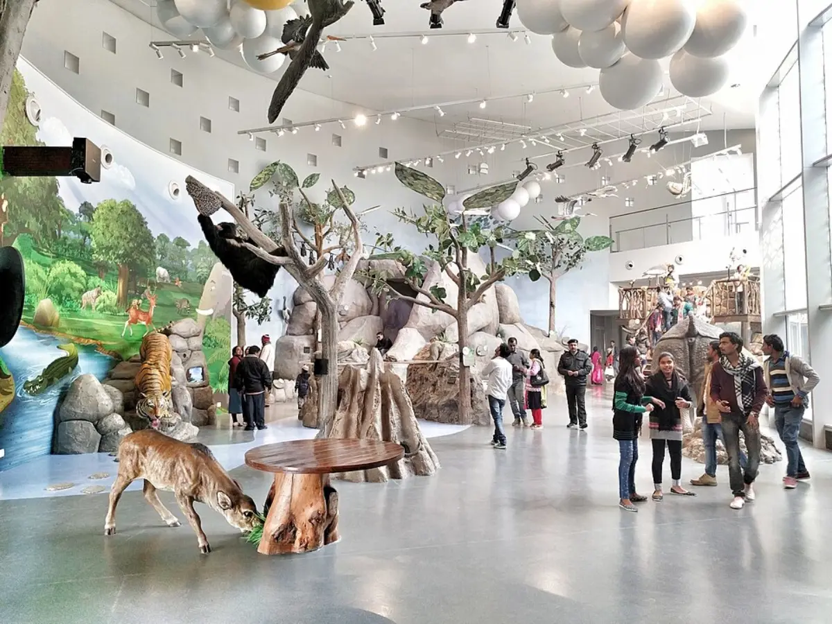 India's Bihar museum among top 10 in the world, beats Paris's Louvre India's Bihar museum among top 10 in the world, beats Paris's Louvre