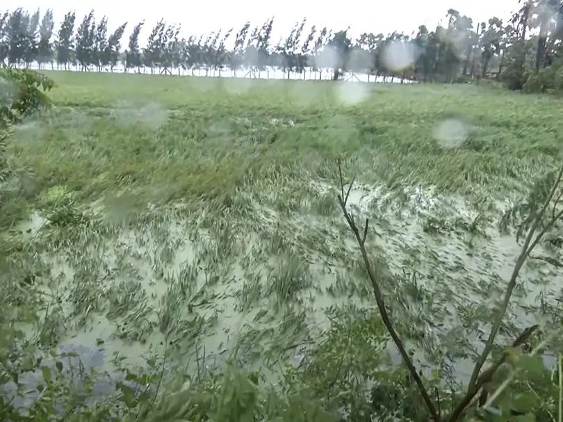 Cyclone Arnab: 70,000 hectares of crops flooded in Andhra; CM Naidu to meet farmers Cyclone Arnab: 70,000 hectares of crops flooded in Andhra; CM Naidu to meet farmers