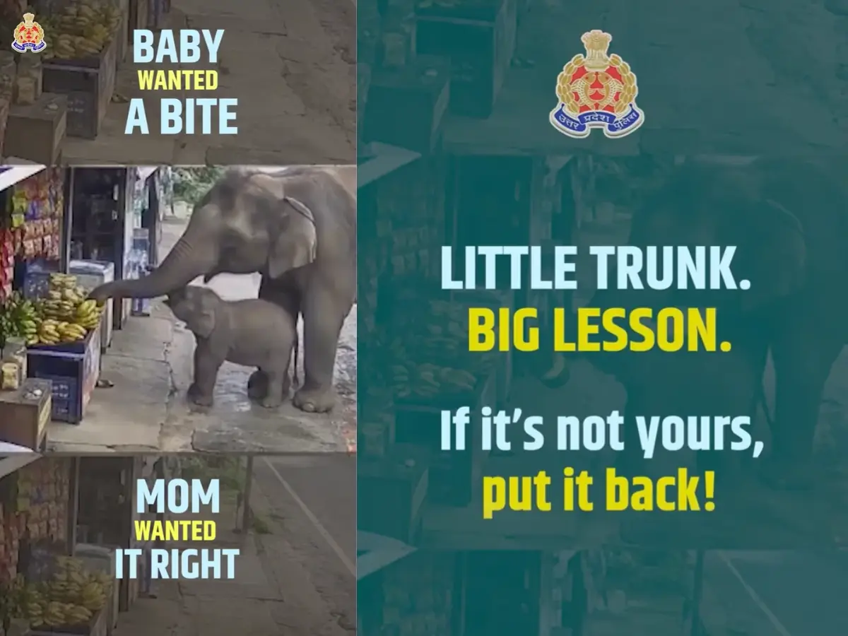 'One little banana heist': UP Police shares elephant mom-calf clip to teach honesty, internet teaches it a lesson instead | Viral video 'One little banana heist': UP Police shares elephant mom-calf clip to teach honesty, internet teaches it a lesson instead | Viral video